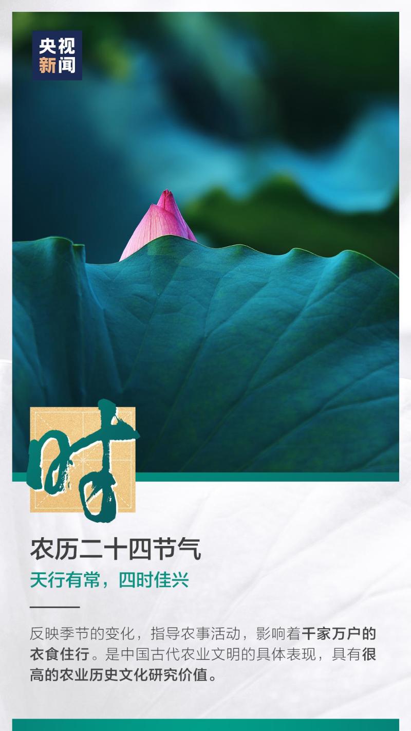 這也太浪漫了吧！