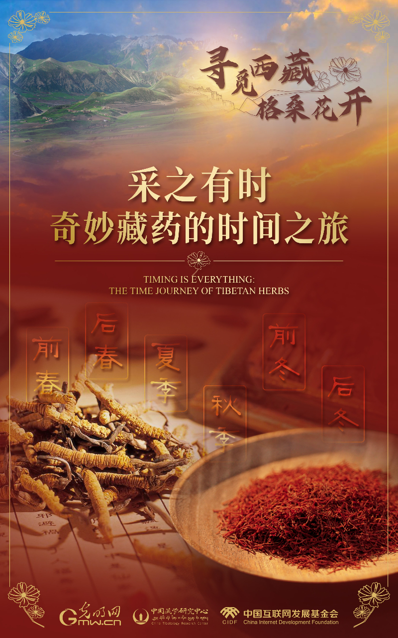 【尋覓西藏·格?；ㄩ_】采之有時(shí)：奇妙藏藥的時(shí)間之旅