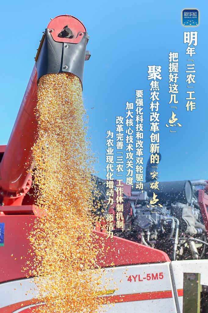 明年“三農(nóng)”工作，這幾個(gè)“點(diǎn)”要把握好