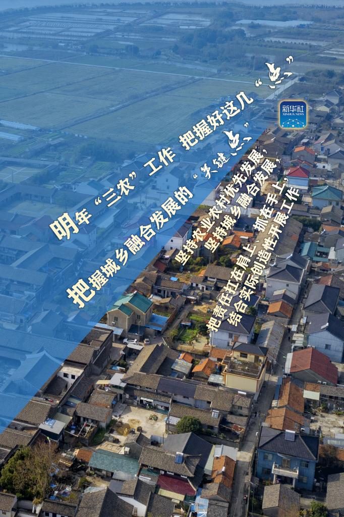 明年“三農(nóng)”工作，這幾個(gè)“點(diǎn)”要把握好