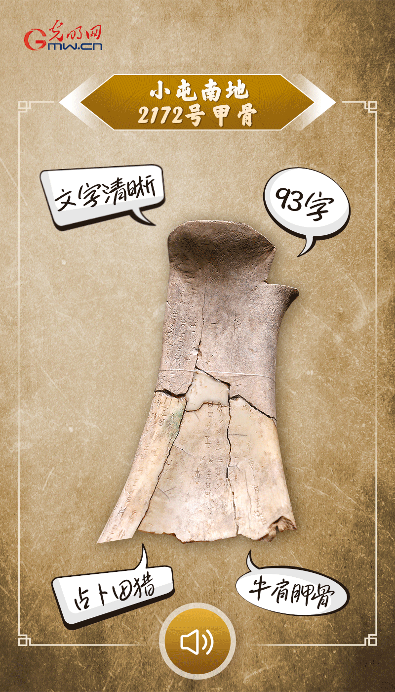 文物會(huì)說話 | 殷墟博物館新館開館啦，帶你奔赴“千年之約”