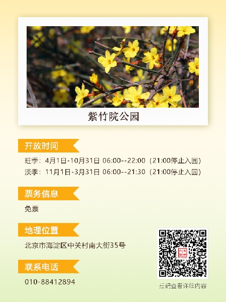追花指南第二期！京城三月里最撩人的玉蘭觀(guān)賞地