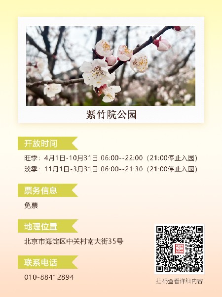 追花指南第六期！杏花雨 楊柳風 北京最美的杏花在這里