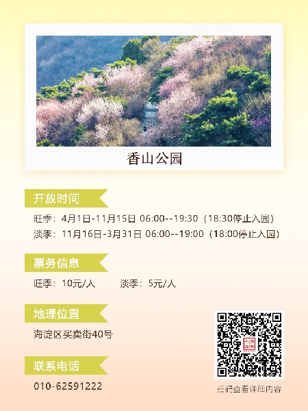 追花指南第六期！杏花雨 楊柳風 北京最美的杏花在這里