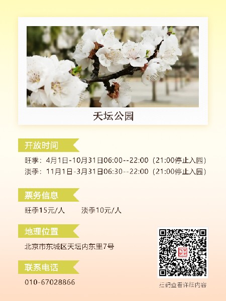 追花指南第六期！杏花雨 楊柳風 北京最美的杏花在這里