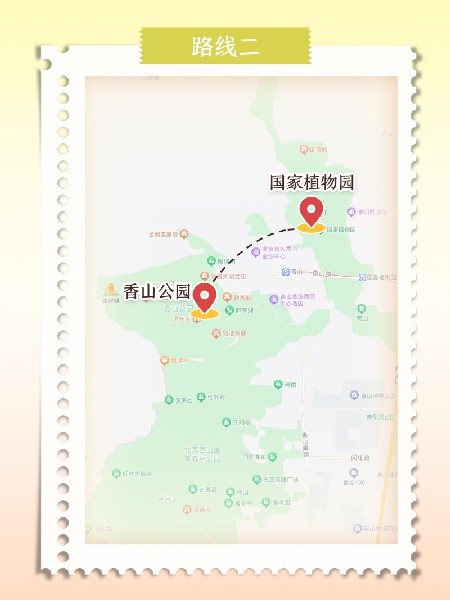 追花指南第六期！杏花雨 楊柳風 北京最美的杏花在這里