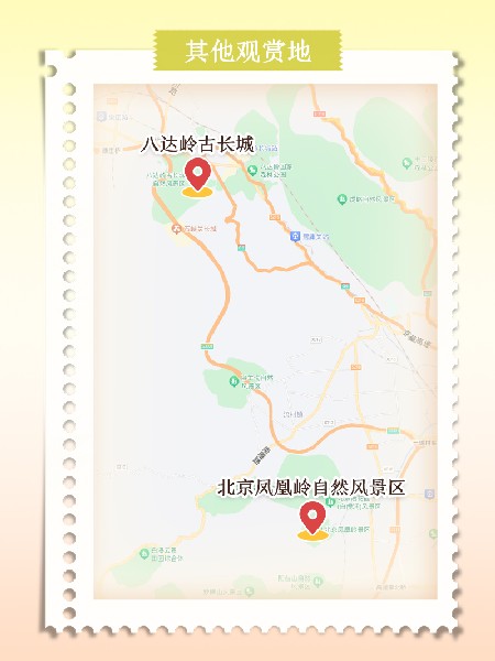 追花指南第六期！杏花雨 楊柳風 北京最美的杏花在這里