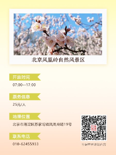 追花指南第六期！杏花雨 楊柳風 北京最美的杏花在這里