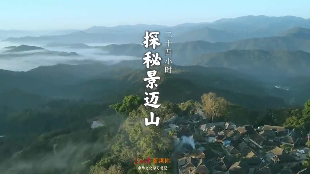 景邁山是個(gè)什么山？航拍云南普洱森林里的世界遺產(chǎn)