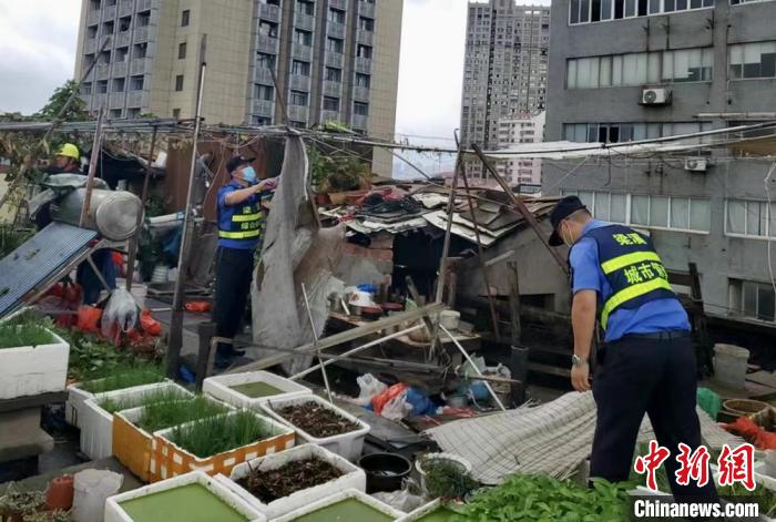 在一處居民樓屋頂，城管隊(duì)員拆除“空中菜園”。　金茜 攝