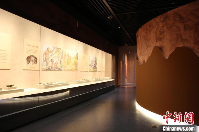 展覽展出了周口店遺址的139件(套)文物。　太原市博物館供圖
