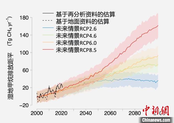 基于觀測(cè)的濕地甲烷排放變化與未來氣候變化情景下估算的對(duì)比?！≈锌圃呵嗖馗咴?供圖