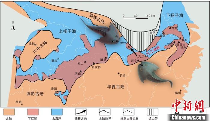 華南地區(qū)志留紀早期古地理圖和盔甲魚類化石產地(山顯任改自陳旭、戎嘉余，1996；戎嘉余等，2012) 中科院古脊椎所 供圖