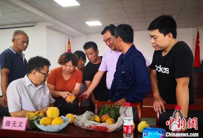 民進浙江省委會為三里橋黃桃種植戶送技術、送指導?！〖紊平y(tǒng)戰(zhàn) 供圖