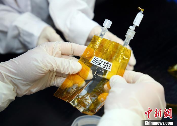 隨神舟十五號(hào)返回地面的空間科學(xué)實(shí)驗(yàn)樣品?！≈锌圃嚎臻g應(yīng)用中心 供圖