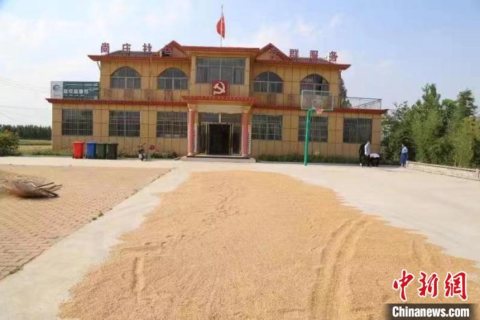 農(nóng)民在邳莊鎮(zhèn)尚莊村黨群服務(wù)中心大院里曬糧?！≠Z萌 攝