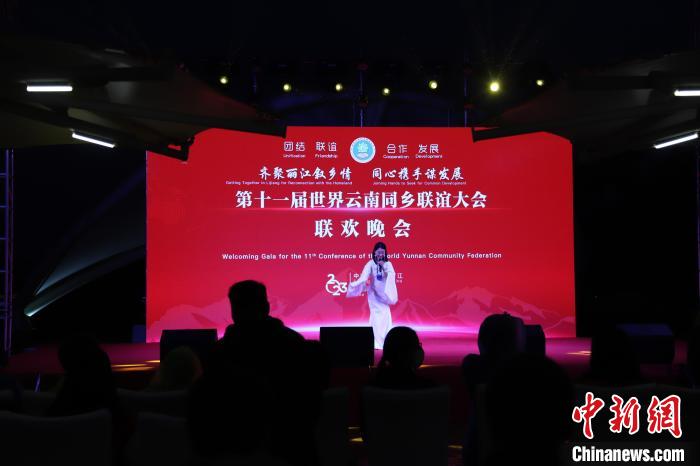 圖為第十一屆世界云南同鄉(xiāng)聯(lián)誼大會(huì)舉辦聯(lián)歡晚會(huì)。　崔永江 攝