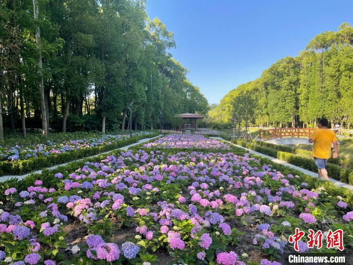 納民意、匯民智上海努力讓“公園城市”建設(shè)真正“合民心”