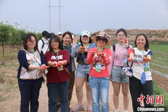 圖為臺(tái)胞體驗(yàn)大美內(nèi)蒙古?！⊥袐I供圖
