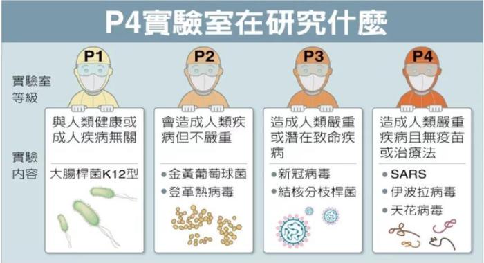 P4實(shí)驗(yàn)室在研究什么。臺(tái)灣聯(lián)合新聞網(wǎng)資料圖