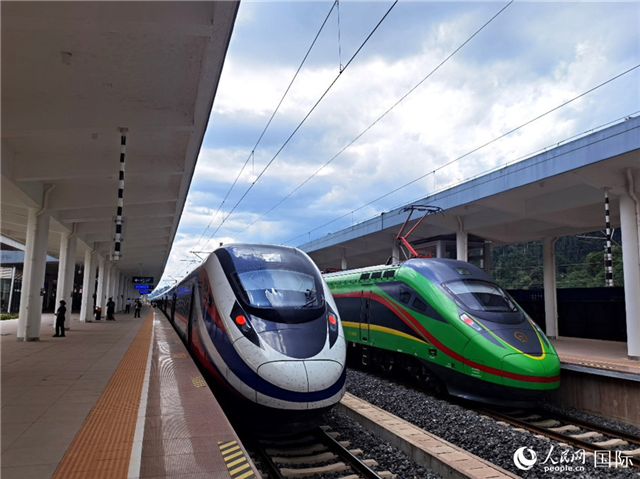 “復(fù)興號”和“瀾滄號”國際旅客列車?？吭诶蠐肽ザ≌?。人民網(wǎng) 杜明明攝