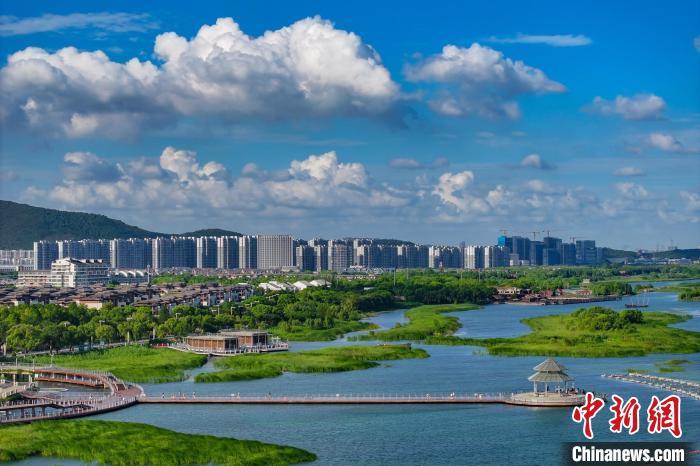 資料圖：航拍蘇州太湖湖濱國家濕地公園，藍(lán)天碧水生態(tài)美。 泱波 攝
