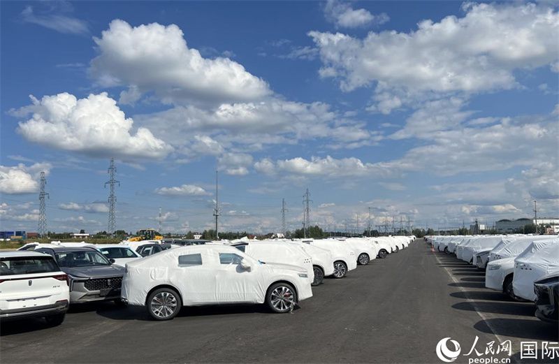 莫斯科別雷拉斯特物流中心內(nèi)的中國品牌汽車。人民網(wǎng)記者 申佳平攝