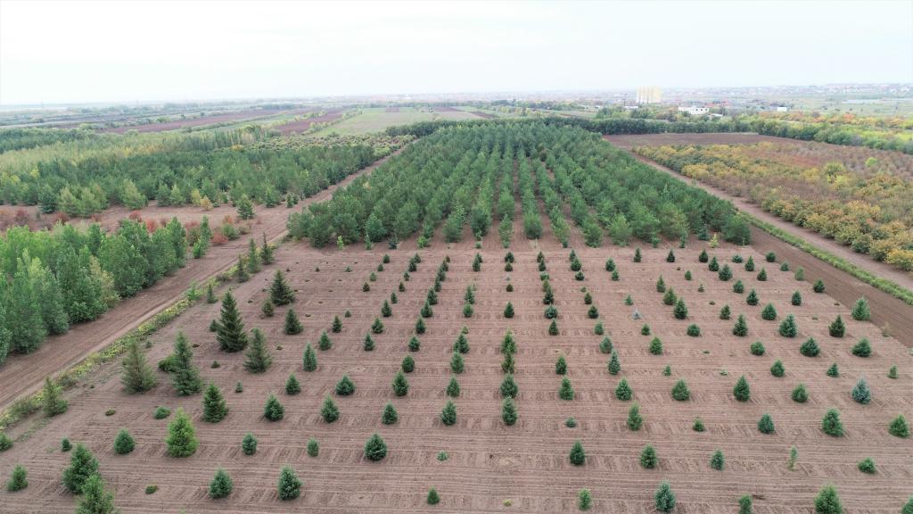 這是2023年9月11日在哈薩克斯坦首都阿斯塔納拍攝的一處植物種質(zhì)資源苗圃（無人機(jī)照片）。新華社發(fā)（法爾哈特·圖克諾夫 攝）