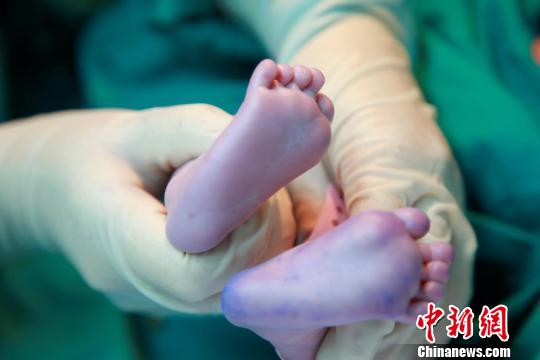 資料圖。簡(jiǎn)文楊 攝