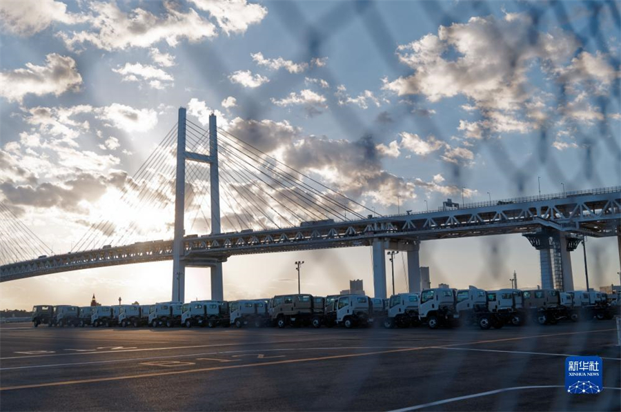 這是11月14日在日本橫濱拍攝的進(jìn)出口汽車集散場(chǎng)地。新華社記者 張笑宇 攝