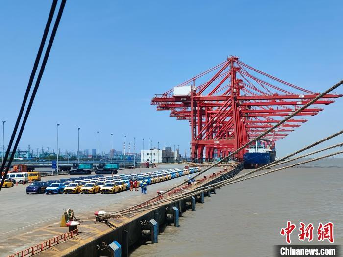 資料圖：國(guó)產(chǎn)新能源車(chē)在上海外高橋港區(qū)海通碼頭“整裝待發(fā)”。　浦帆 攝