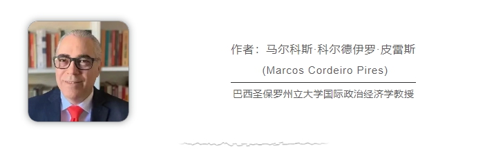巴西學(xué)者：俄烏、巴以沖突再次暴露美西方“雙標(biāo)”本質(zhì)