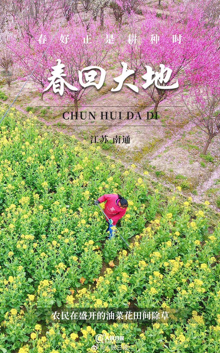 生機(jī)盎然！用課本封面打開春耕畫卷