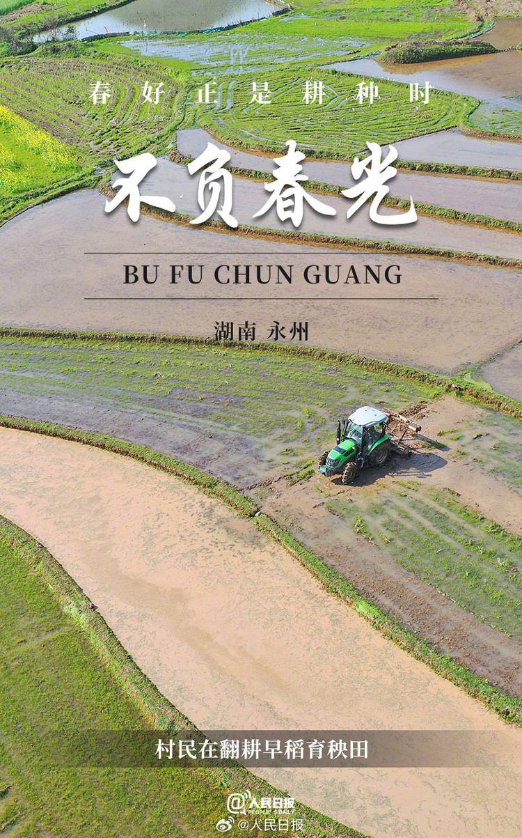 生機(jī)盎然！用課本封面打開春耕畫卷