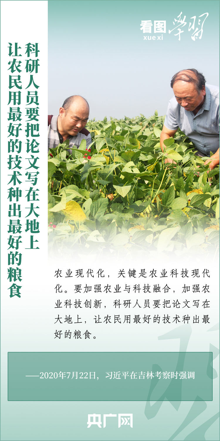 看圖學習丨推廣良田、良種、良法、良機 給農(nóng)業(yè)現(xiàn)代化插上科技的翅膀