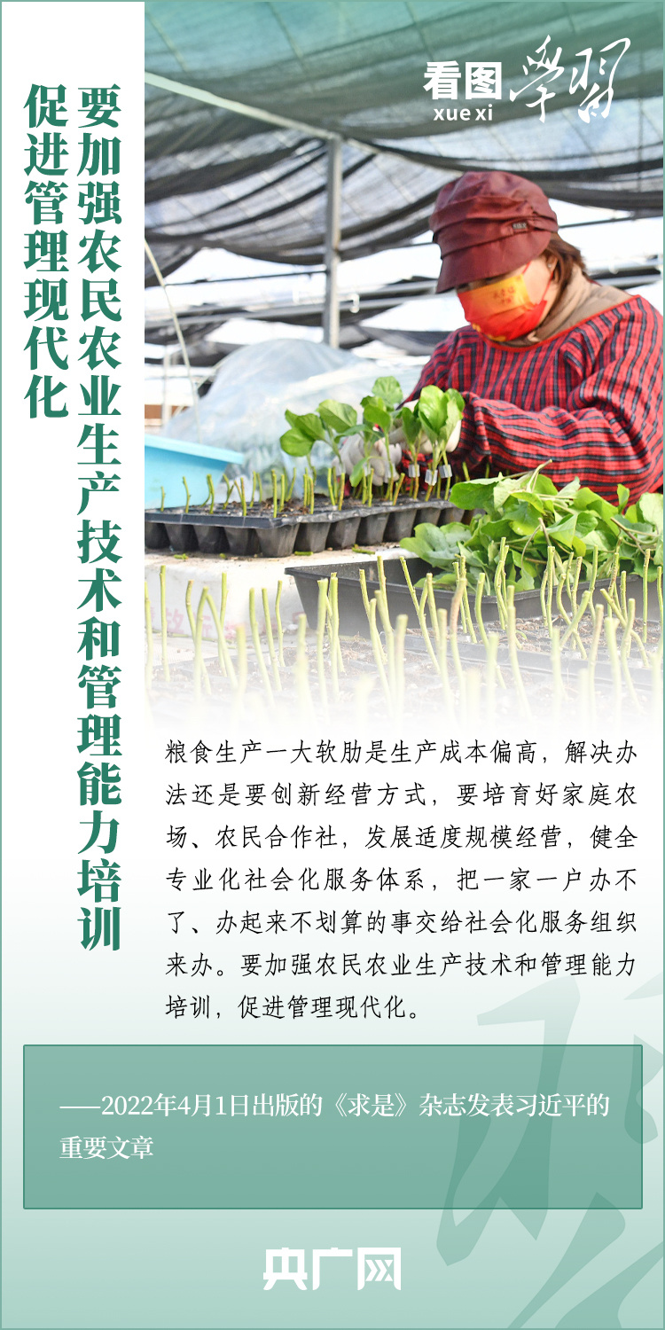 看圖學習丨推廣良田、良種、良法、良機 給農(nóng)業(yè)現(xiàn)代化插上科技的翅膀