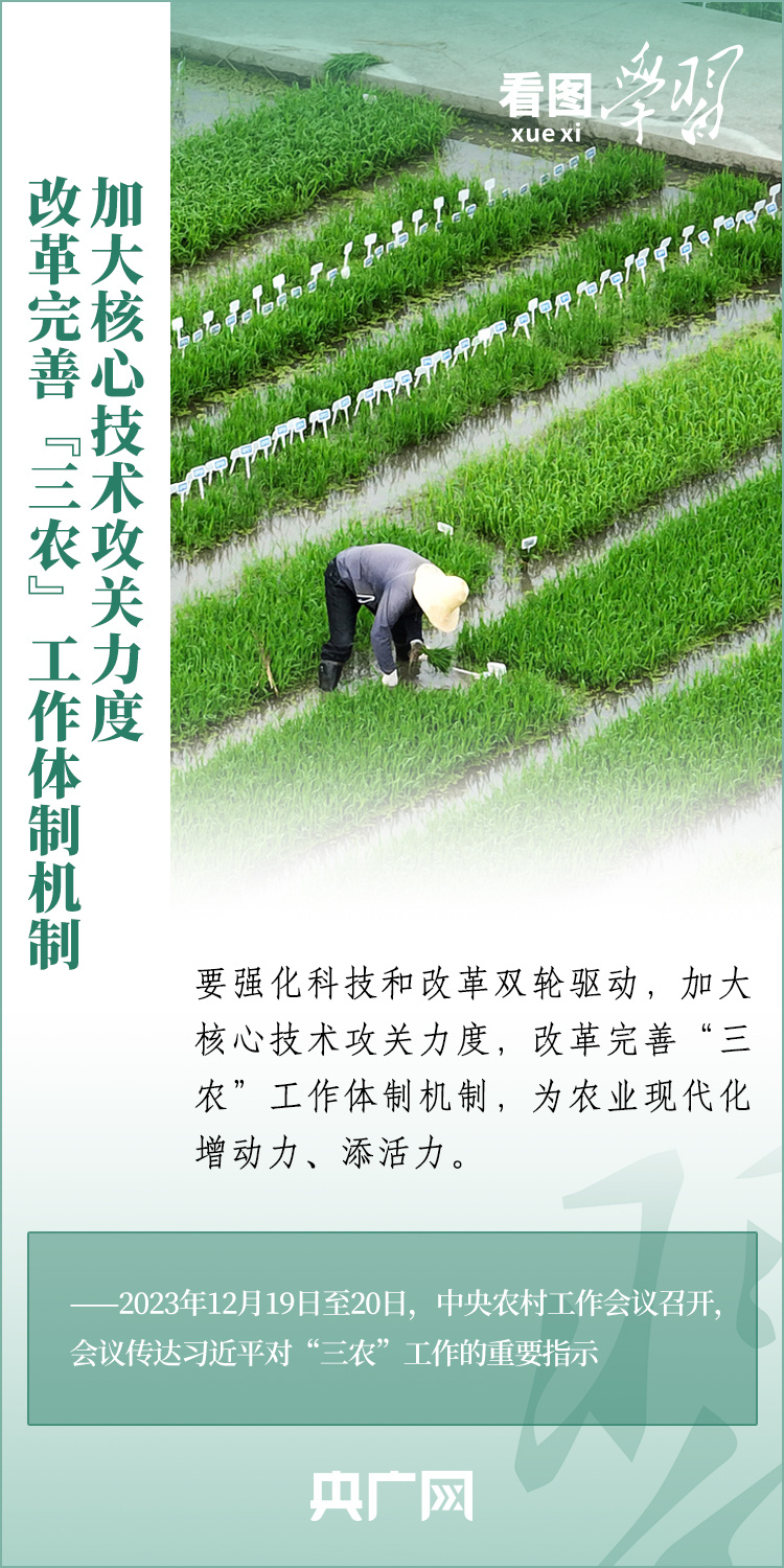 看圖學習丨推廣良田、良種、良法、良機 給農(nóng)業(yè)現(xiàn)代化插上科技的翅膀