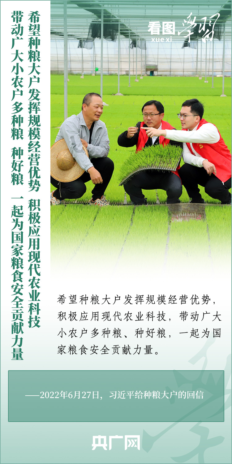 看圖學習丨推廣良田、良種、良法、良機 給農(nóng)業(yè)現(xiàn)代化插上科技的翅膀