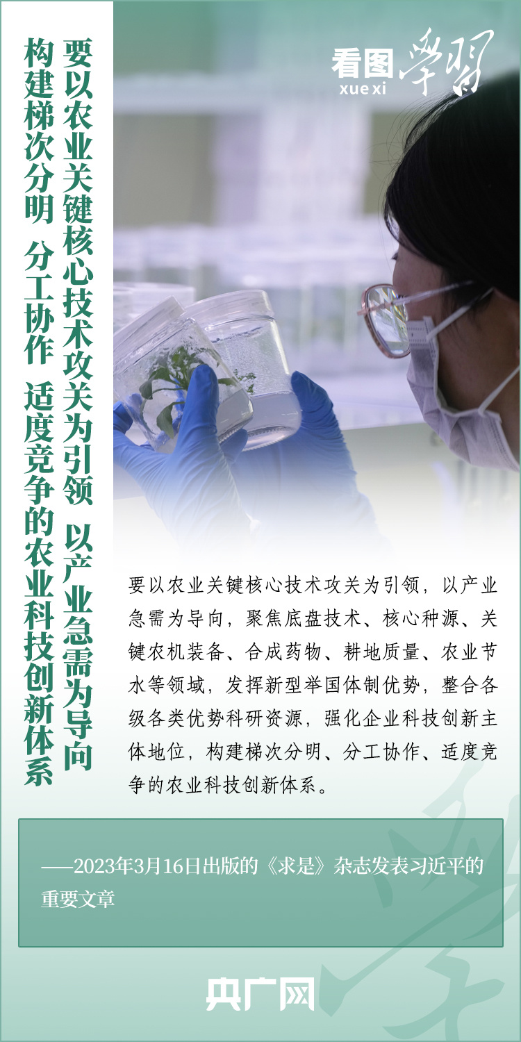 看圖學習丨推廣良田、良種、良法、良機 給農(nóng)業(yè)現(xiàn)代化插上科技的翅膀