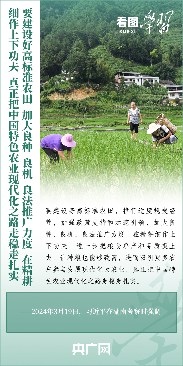 看圖學習丨推廣良田、良種、良法、良機 給農(nóng)業(yè)現(xiàn)代化插上科技的翅膀