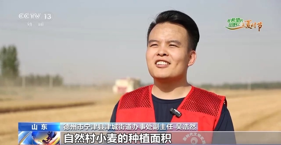 “三夏”生產(chǎn)思維導(dǎo)圖安排上了！還有政府大院等你來(lái)“曬”