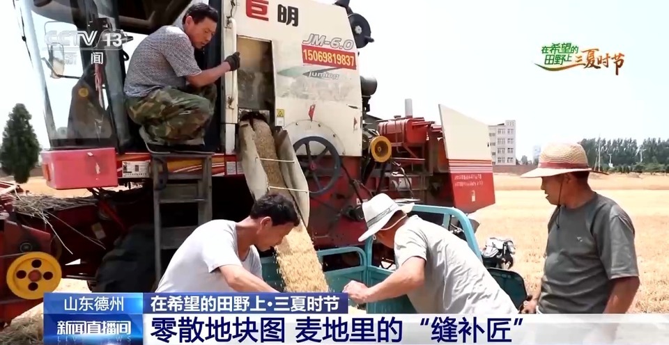 “三夏”生產(chǎn)思維導(dǎo)圖安排上了！還有政府大院等你來(lái)“曬”