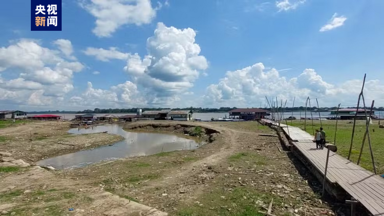受旱情及火災影響 巴西亞馬孫州多地進入緊急狀態(tài)