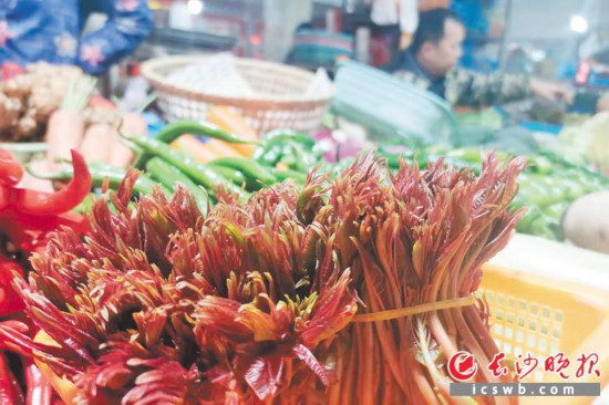 　　農(nóng)貿(mào)市場里鮮嫩的香椿。　　均為長沙晚報全媒體記者 劉捷萍 攝