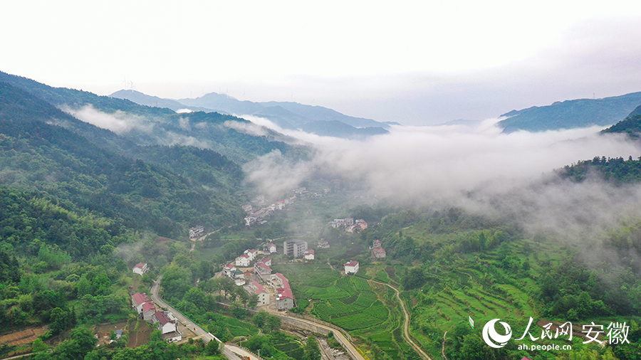 雨后的金寨大灣村，云霧環(huán)繞，宛如一幅田園山水畫卷。人民網(wǎng) 張俊攝