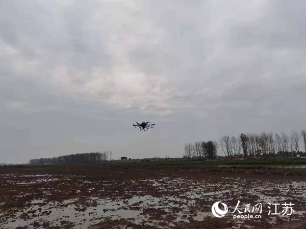勝利圩高標(biāo)準(zhǔn)農(nóng)田進(jìn)行無人機(jī)水稻播種。陽江鎮(zhèn)供圖