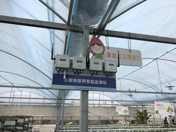 都市四季果園內(nèi)的物聯(lián)網(wǎng)智能監(jiān)測站系統(tǒng)。東海縣委宣傳部供圖
