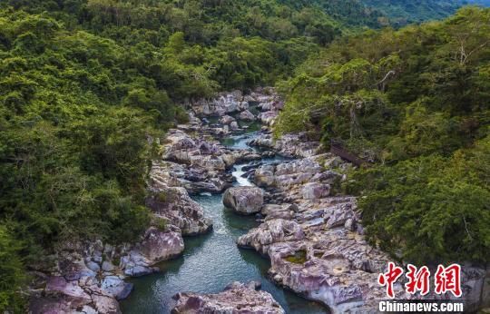 2018年海南生態(tài)環(huán)境狀況等級(jí)為“優(yōu)”，植被覆蓋率高，生物多樣性豐富，生態(tài)系統(tǒng)穩(wěn)定，圖為海南中部熱帶雨林。　駱云飛　攝