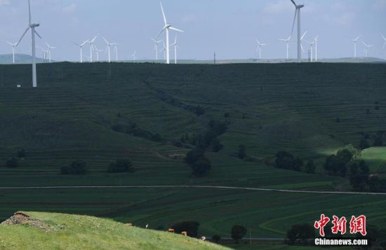 6月28日，河北張家口張北草原上大片風(fēng)力發(fā)電的“風(fēng)車”規(guī)模宏大。 中新社記者 楊艷敏 攝
