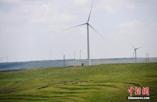 6月28日，河北張家口張北草原上大片風(fēng)力發(fā)電的“風(fēng)車”規(guī)模宏大。 中新社記者 楊艷敏 攝